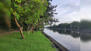 ปรับความรู้สึกให้สมดุล